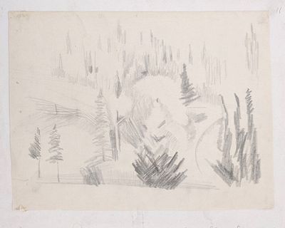 Васнецов Юрий Алексеевич (1900-1973) - Вятки. Ели. Бумага, графитный карандаш 22 х 30 см ...