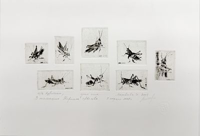 (М) Маковеева Ирина Петровна (р. 1954)Кузнечики. Оттиски с 8 досок на 1 листе. 2001 г.