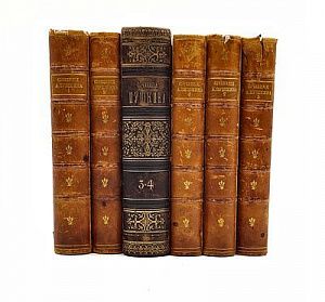 (П) Сочинения А. С. Пушкина в 7-ми томах 1882 года. М.: изд. Федора И. Анского, 1882. ТТ. 1-7.