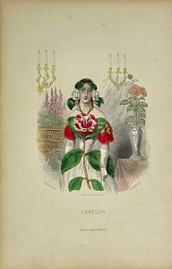 Камелия. Из серии "Живые цветы" ("Les Fleurs animees"). 1852 г. Камелия. Из серии "Живые цветы" ("Les Fleurs animees"). 1852 г.