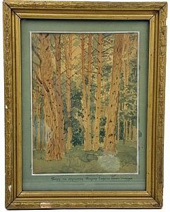 (П) Неизвестный художник - Сосновый бор. 1910-е гг. Бумага, акварель, 33 х 24 см Подпись справа ...