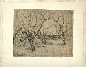(П) Александр Васильевич Куприн (1880 - 1960) - Сад весной. 1908 г. Бумага, графитный карандаш. ...