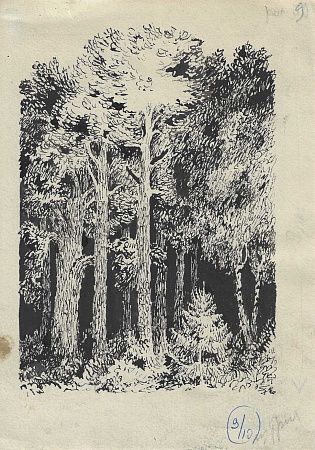 Конашевич Владимир Михайлович (1888-1963) Лес. Иллюстрация к книге Льва Квитко "В гости