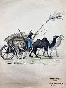 (П) Неизвестный художник - Арба. Бумага, акварель. 59,5 х 42,7 см