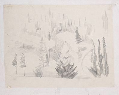 Васнецов Юрий Алексеевич (1900-1973) - Вятки. Ели. Бумага, графитный карандаш 22 х 30 см ...