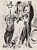 (М) Шагал Марк Захарович (1887-1985) - Сальтимбанки (Les Saltimbanques). Лист из тома II ...