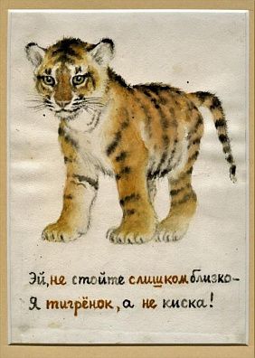 Лебедев Владимир Васильевич (1891–1967) Тигрёнок. Эскиз открытки 1950-е гг. · Бумага, акварель · 20 ×14 см