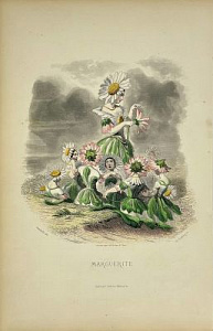 Ромашка, гадающая любит, не любит. Из серии "Живые цветы" ("Les Fleurs animees"). 1852 г. Ромашка, гадающая любит, не любит. Из серии "Живые цветы" ("Les Fleurs animees"). 1852 г.