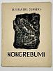 Папка с 15-ю ксилографиями. Рига. Латвия, 1942 г.