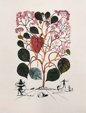 (П) Дали Сальвадор (1904-1989) - Бегония. 1979 г. бумага, литография 41 х 32 см