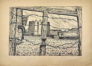 (П) Добужинский Мстислав Валерианович (1875 — 1957) - Огород на Обводном канале. 1922 г. ...