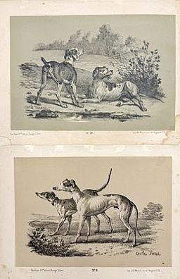 (М) Антуан Шарль Орас (Карл) Верне (1758 — 1836) - автор оригинала[Два листа] Собаки. Издатель Dupin, литография Maurin (Париж, 1850-е.)