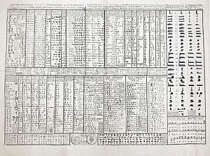 (П) Таблица древних алфавитов мира. 1759 г.
Эдвард Бернард [1689 г]. бумага, гравюра 47 х 62 см