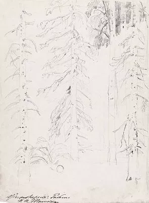 (М) [ТОП-ЛОТ] Шишкин Иван Иванович (1832-1898) Хвойный лес. Конец 1860-х - начало 1870-х гг.